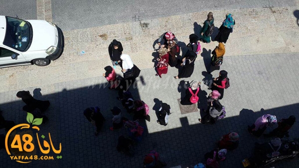 nesa2 wafed ej (3).JPG